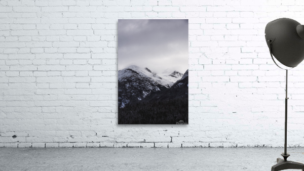 Dreamy Views Wall Preview