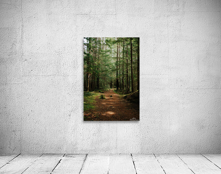 Green Wanders Wall Preview