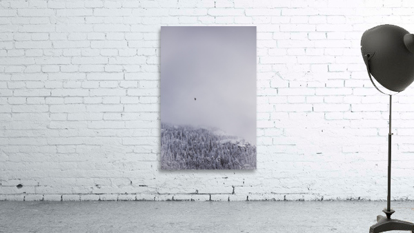 Soar Wall Preview