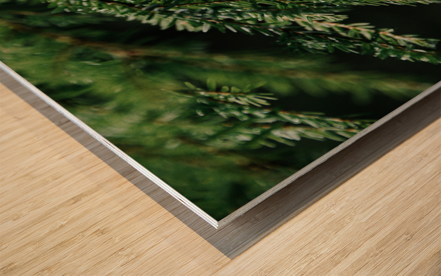 Forest Green Wood print