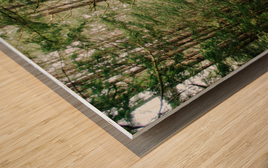 Green Wanders Wood print