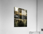Luce I Acrylic Print