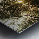 Luce I Metal print