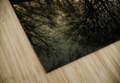 Luce I Ko Kajiwara puzzle