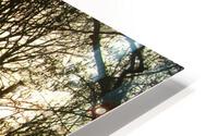 Luce I HD Metal print