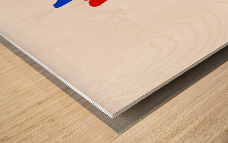 THE MEGA SPIDER Wood print