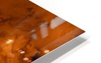 Peony gold HD Metal print