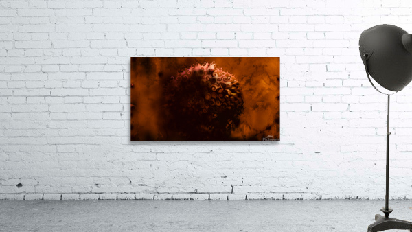Peony gold Wall Preview