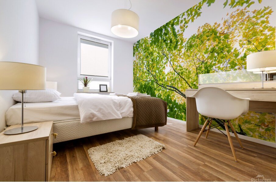Medecina Mural print