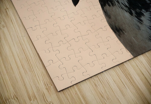 Brave Bird Batuhan Olguner puzzle