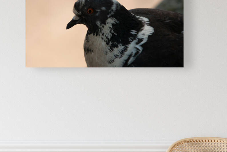 Brave Bird Reproduction