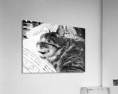 Scooter Acrylic Print