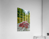 Backyard Leaves B Acrylic Print