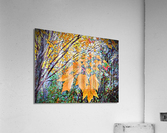 Winter is Coming Acrylic Print