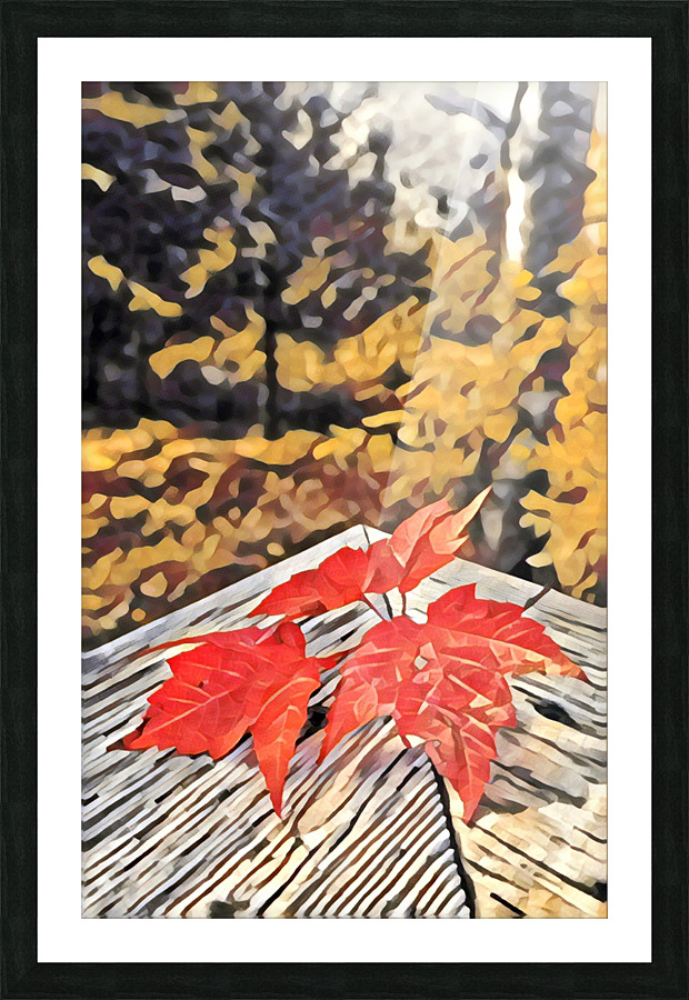 Backyard Leaves A Picture Frame print