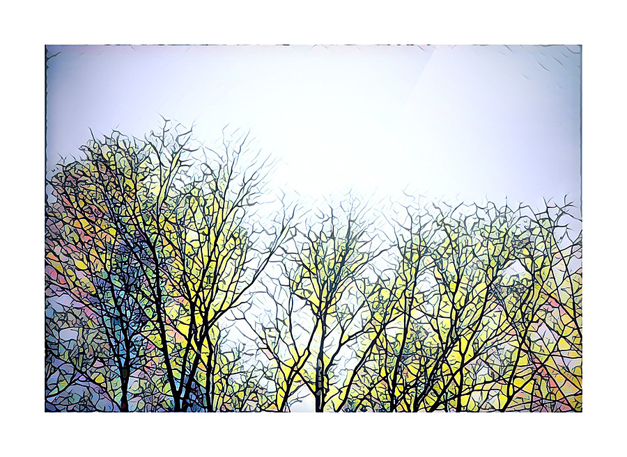 A Pinery Winter Picture Frame print