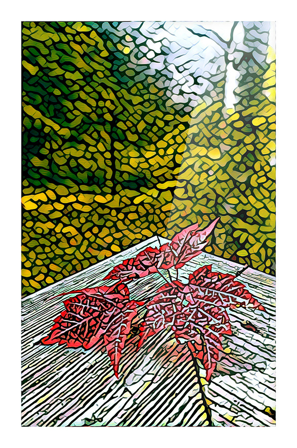 Backyard Leaves B Picture Frame print
