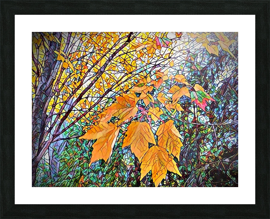 Winter is Coming Picture Frame print