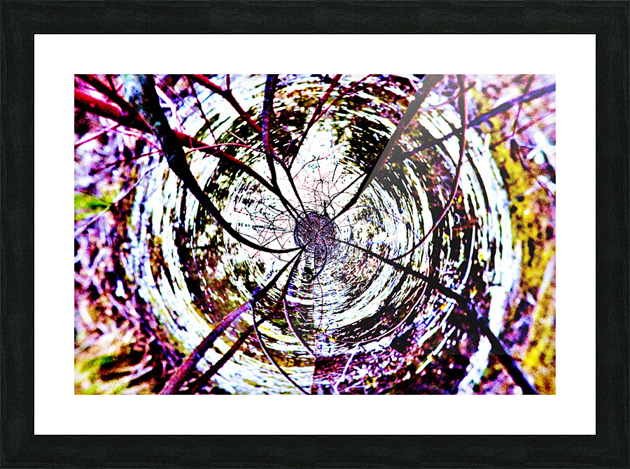 Look Up Picture Frame print