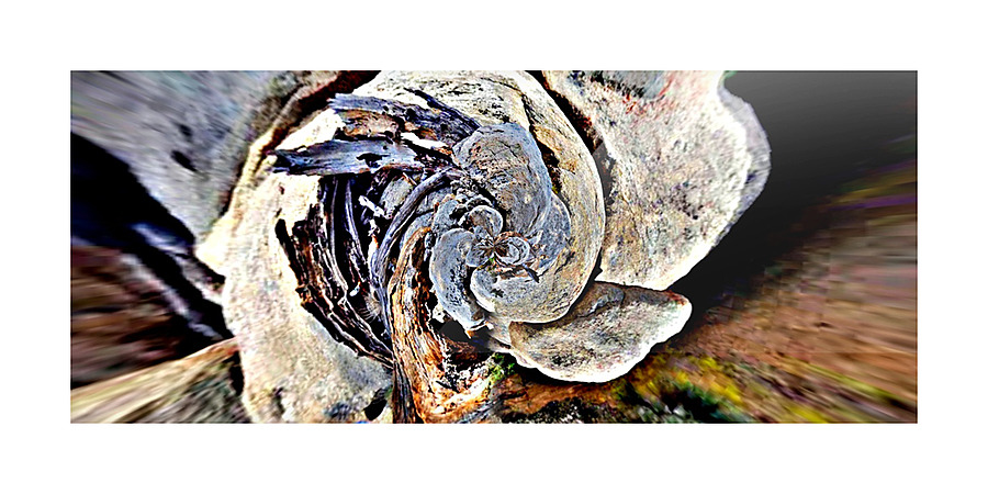 Rock Swirl Picture Frame print