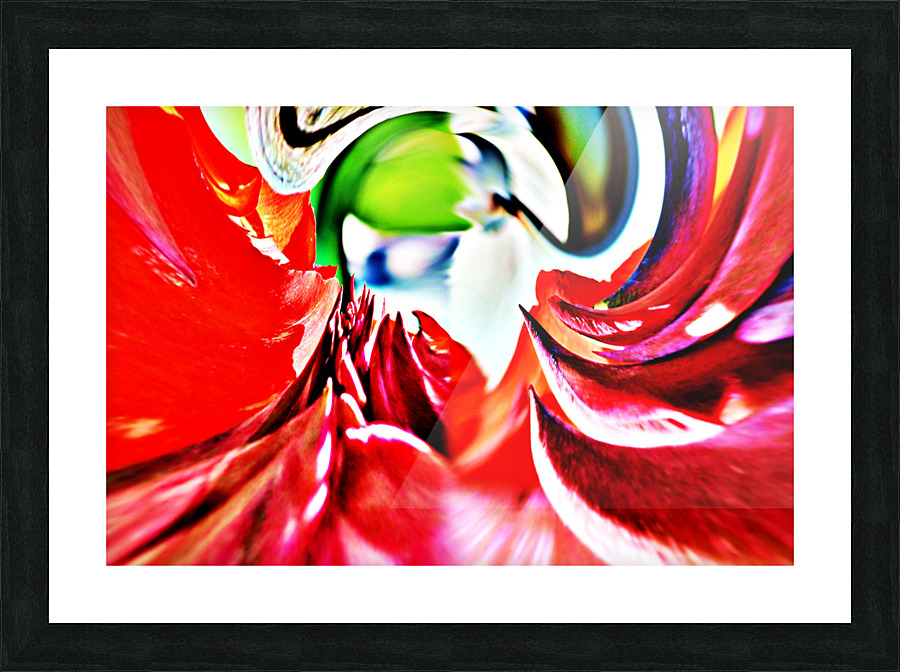Red Planet Flower Picture Frame print
