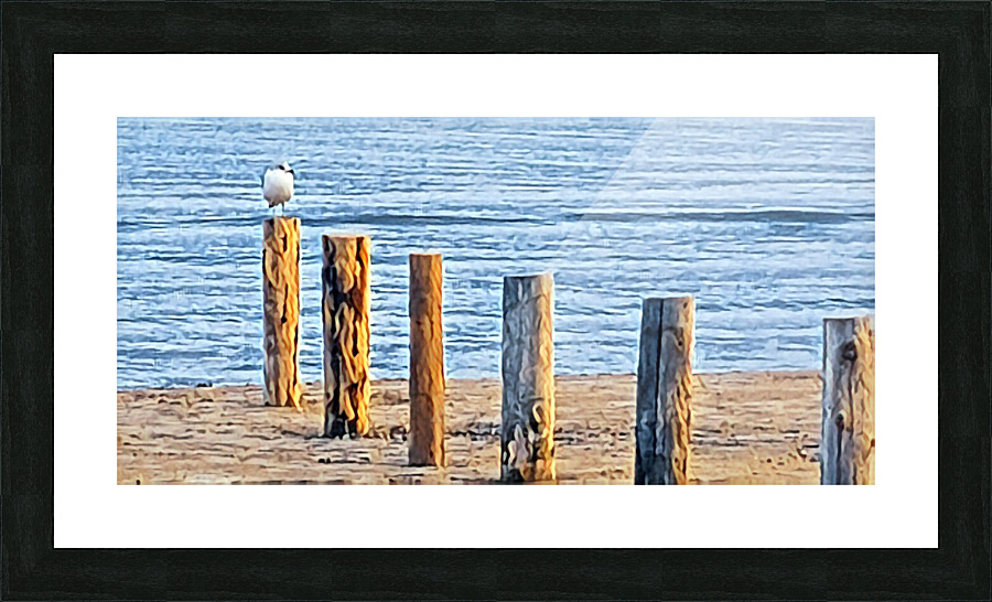 Sole Bird Picture Frame print