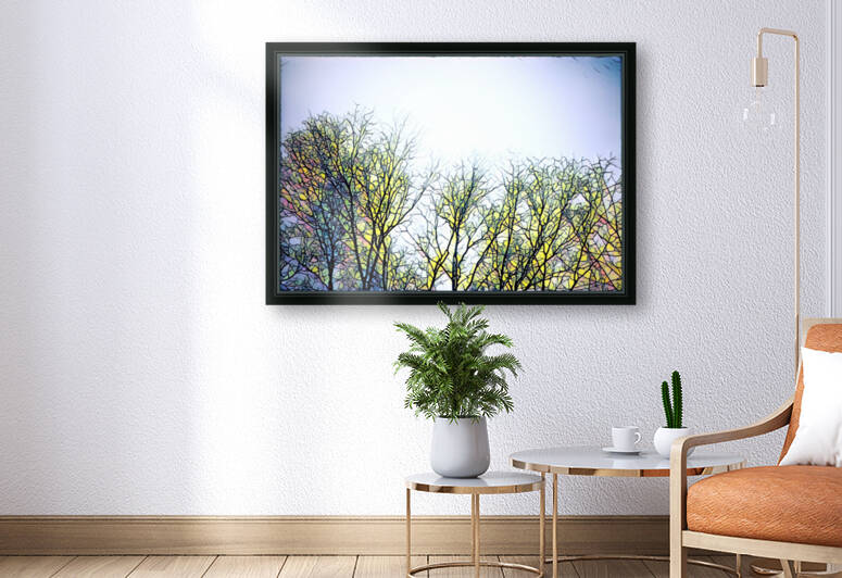 A Pinery Winter by Bluewater Artistry