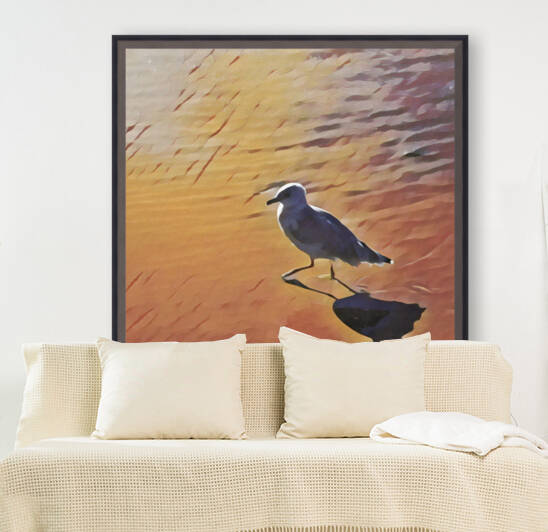 Shore Gulls 2 by Bluewater Artistry