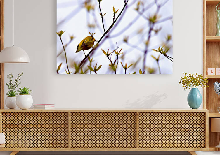 Yellow Rondeau Bird by Bluewater Artistry