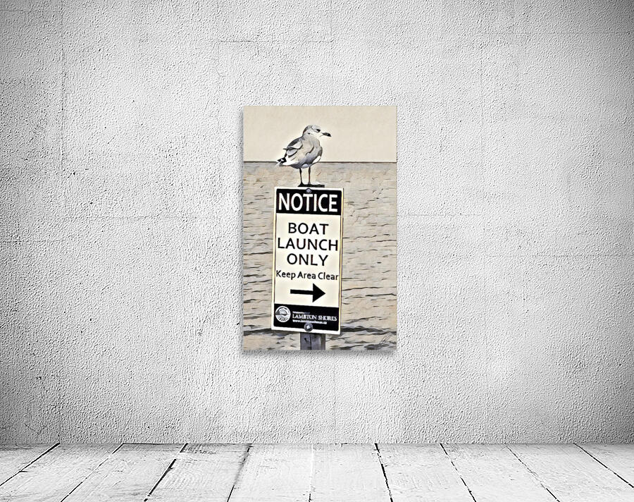 Boat Launch Gulls 2 Wall Preview