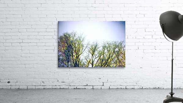 A Pinery Winter Wall Preview
