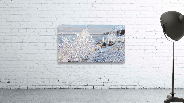 Iceshore Wall Preview