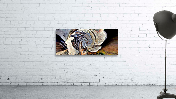 Rock Swirl Wall Preview