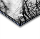 Black N White Acrylic print
