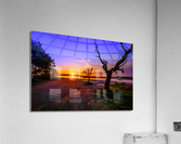 Purple Rise Acrylic Print
