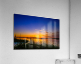New Dawn Acrylic Print