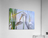 Lunch Is Served Acrylic Print
