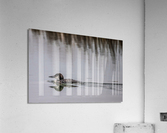 Simplicity Acrylic Print