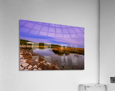 Feeling Blue Acrylic Print