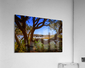 See Thru Acrylic Print