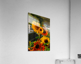 Rain Drops Acrylic Print