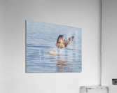 Gone Fishing Acrylic Print