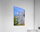 Fall Time Acrylic Print