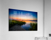 Between The Grass Acrylic Print