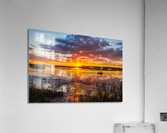 Marsh Side Acrylic Print