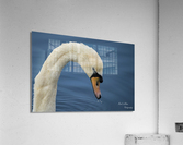 The Look Acrylic Print