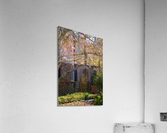 blossoms Acrylic Print