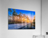 The Haze Acrylic Print