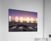 Drift Wood Acrylic Print