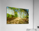 Back Roads Acrylic Print